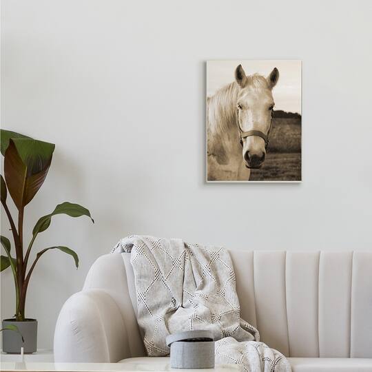 Stupell Industries Rustic Sepia tone Portrait of White Horse Wall Plaque